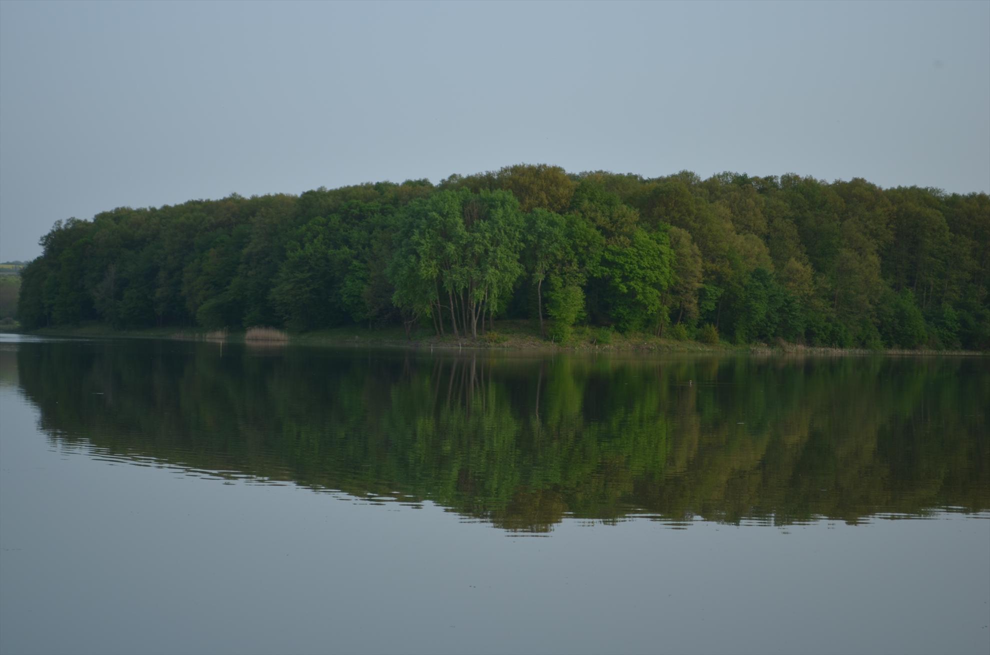 sisterea - dsc0495.JPG